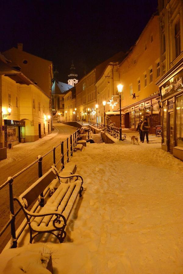 Penzion Nostalgia Banská Štiavnica Zewnętrze zdjęcie